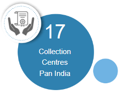 alankit assignments limited chennai