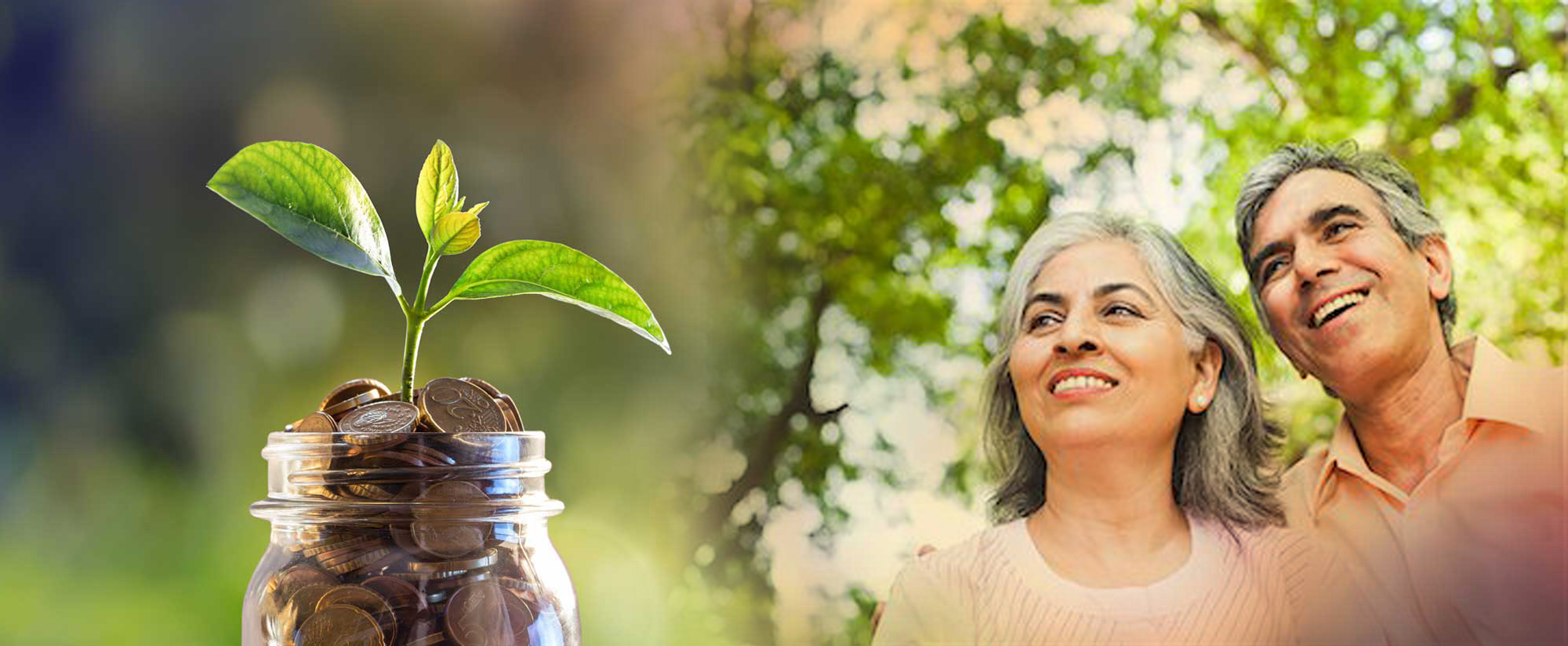 Know All About NPS Correction Form S2 Procedure & Purpose